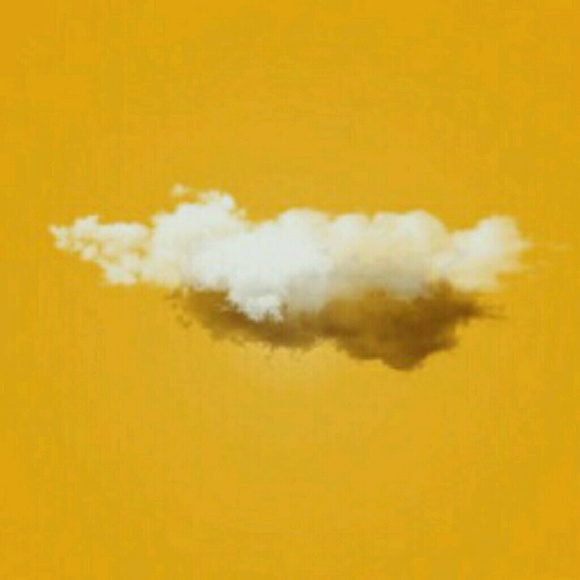 Meet your Posher, Anna - Picture 1 of 1